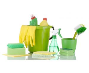 Green cleaning products